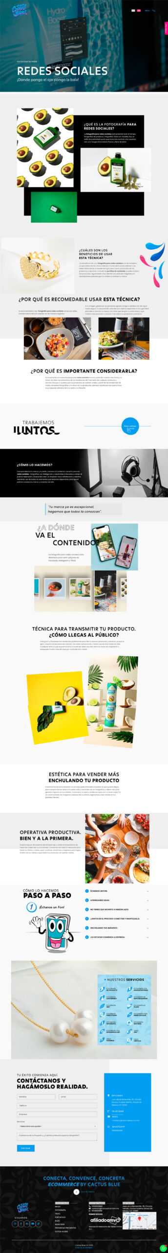 fotografia cactus blue